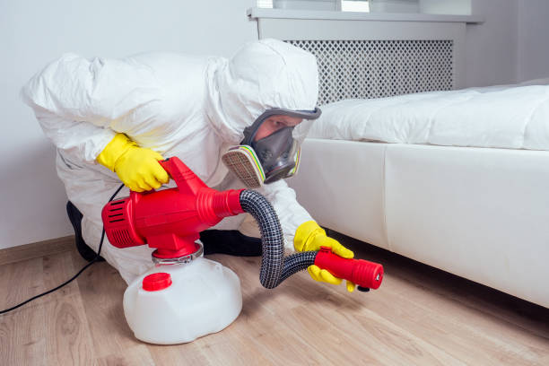 Best Residential Pest Control  in Haubstadt, IN